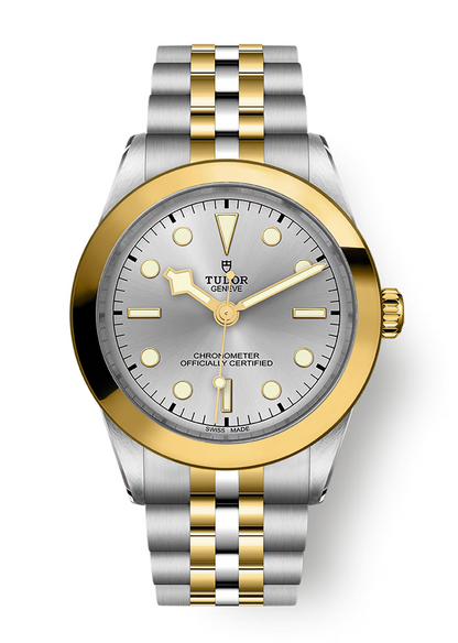 Tudor Black Bay ONE 39 S&G