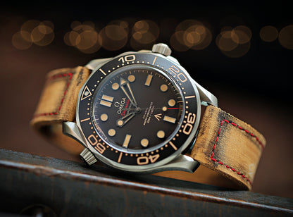 Omega Seamaster James Bond "No Time to die"