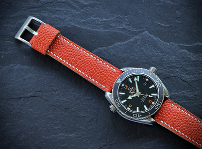 Omega Seamaster Planet Ocean 600