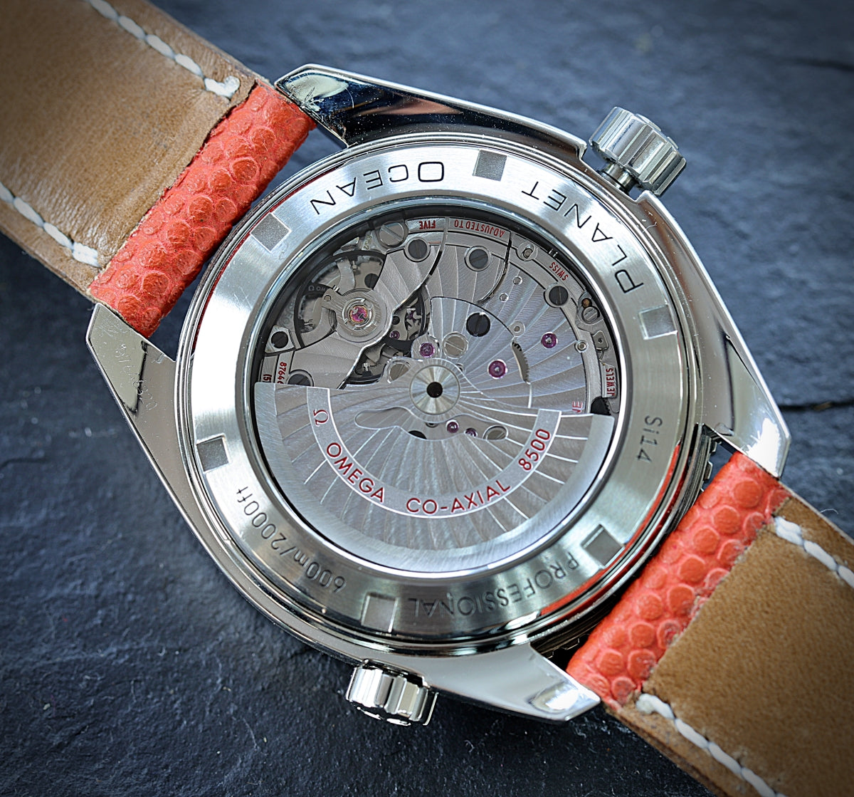 Omega Seamaster Planet Ocean 600