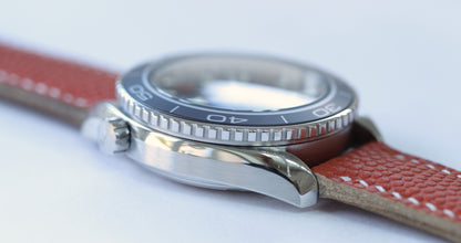 Omega Seamaster Planet Ocean 600