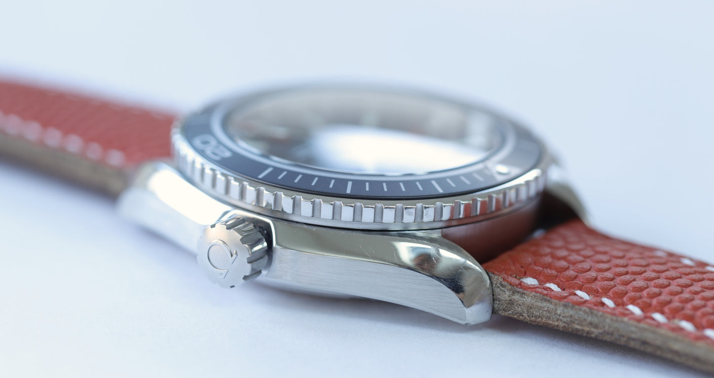 Omega Seamaster Planet Ocean 600