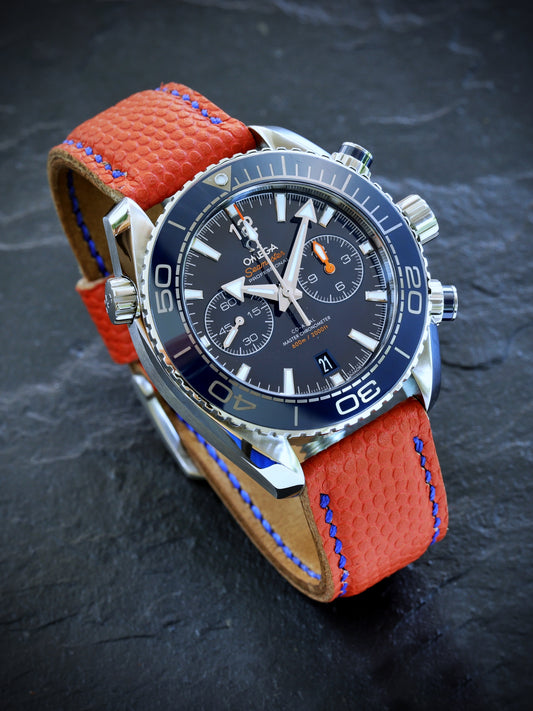 Omega Seamaster Planet Ocean 600M