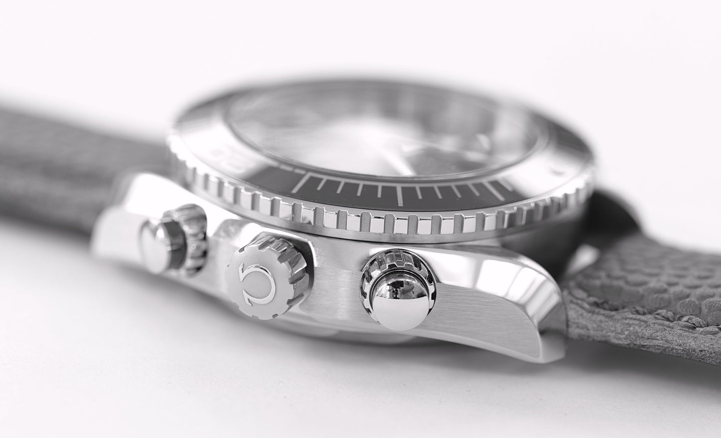 Omega Seamaster Planet Ocean 600M