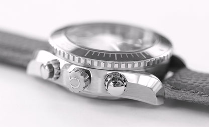 Omega Seamaster Planet Ocean 600M