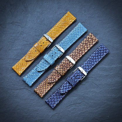 Alexander Shorokhoff "Straigt & Curve"