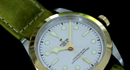 Tudor Black Bay ONE 39 S&G